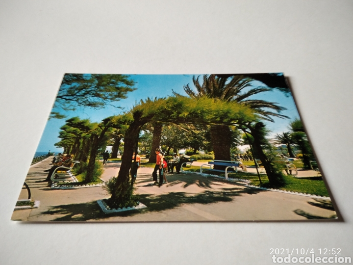 Postales: Postal Santander Jardines de piquio - Foto 1