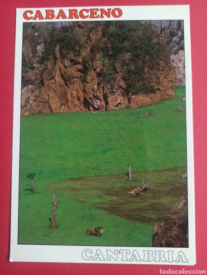 Postales: Cabarceno, Cantabria, recinto leones. - Foto 1