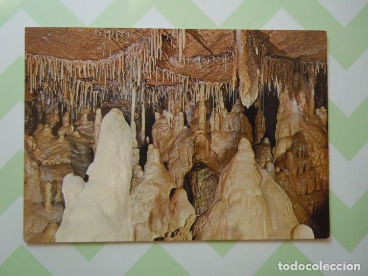 Postales: Postal de las Cuevas de Altamira (Santander) - Foto 1