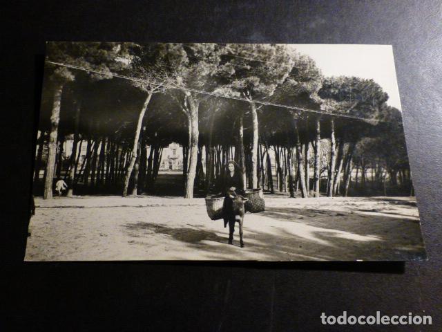 Postales: SANTANDER SARDINERO PINARES - Foto 1
