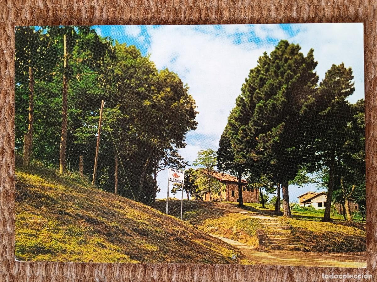 Postales: CUEVAS DE ALTAMIRA - Foto 1