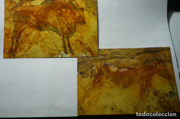 Postales: lote postales cuevas altamira - Foto 1