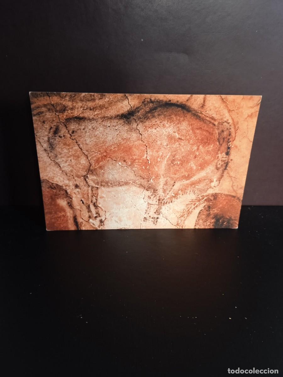 Postales: P1267 Postal 143 Bisonte.Verrier Edt. - Foto 1