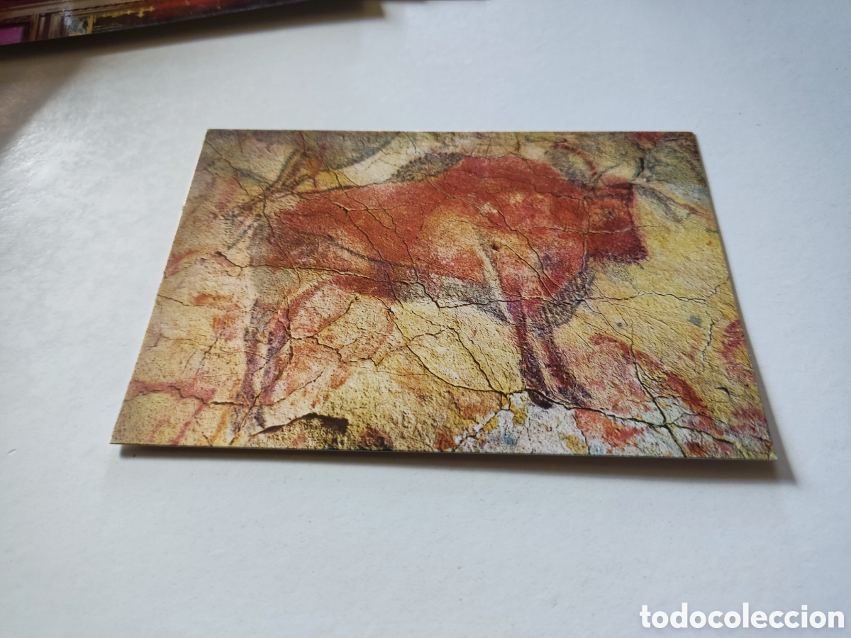 Postales: Postal cuevas de Altamira bisonte - Foto 1