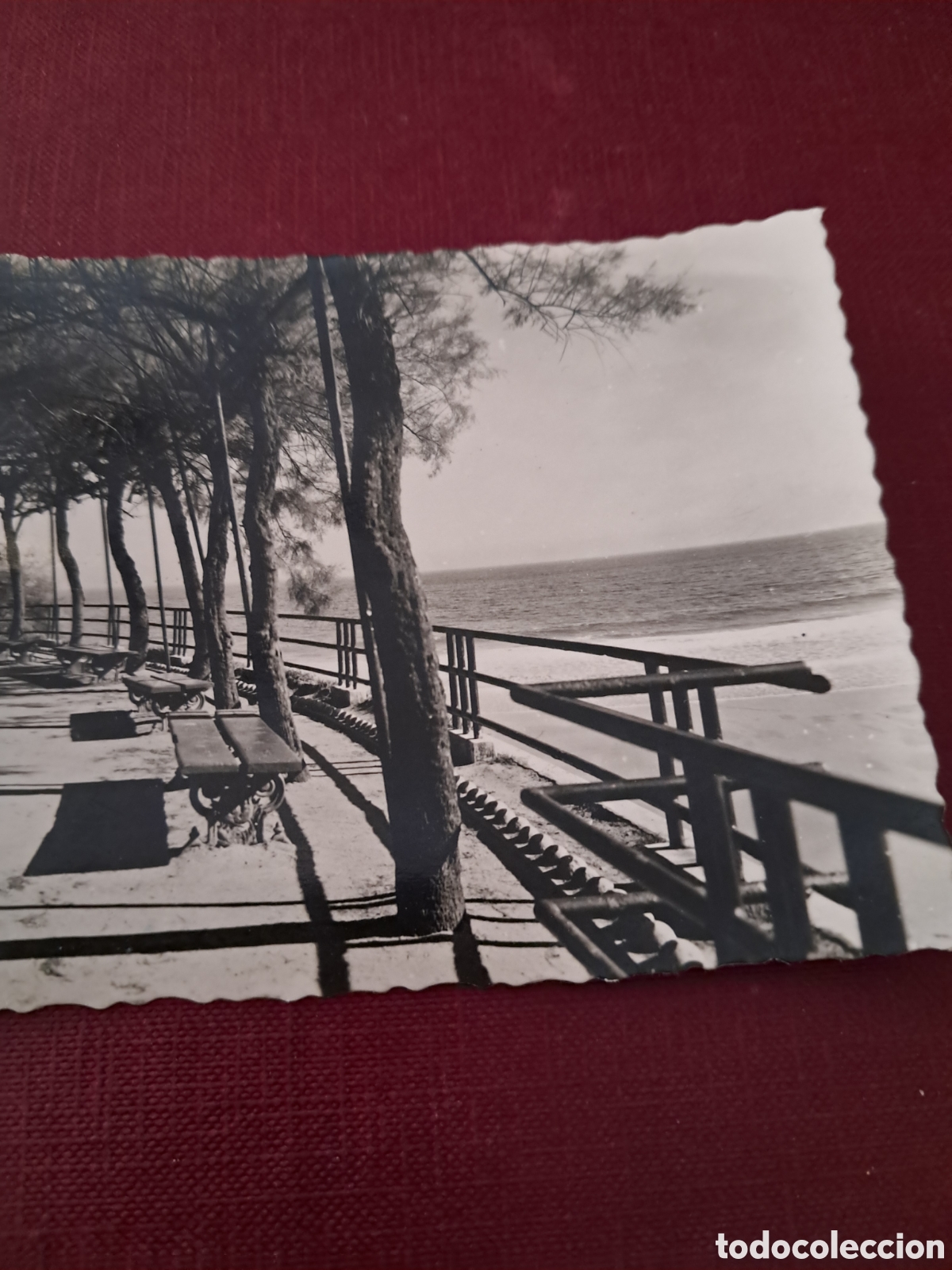 Postales: Postal Santander 1957 - Foto 3