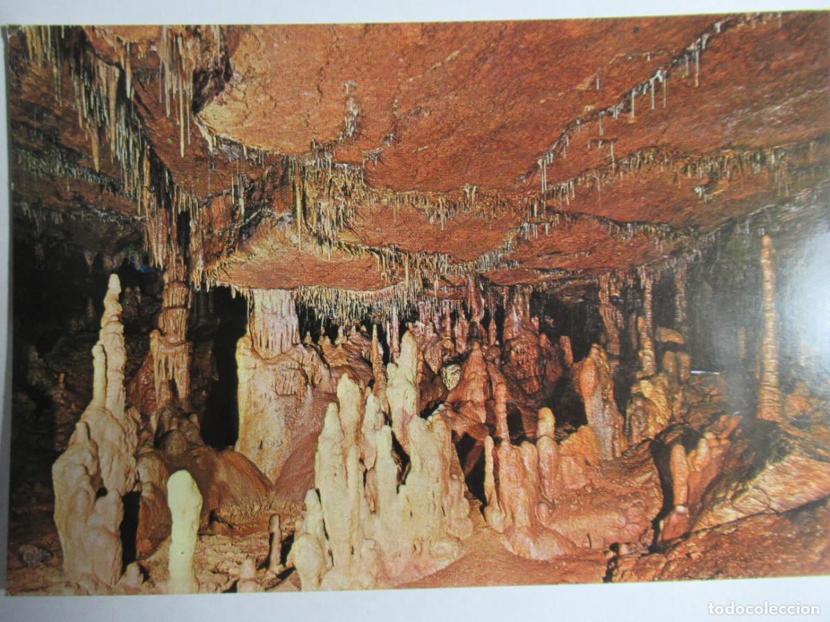 Postales: Cuevas de Altamira - Foto 1