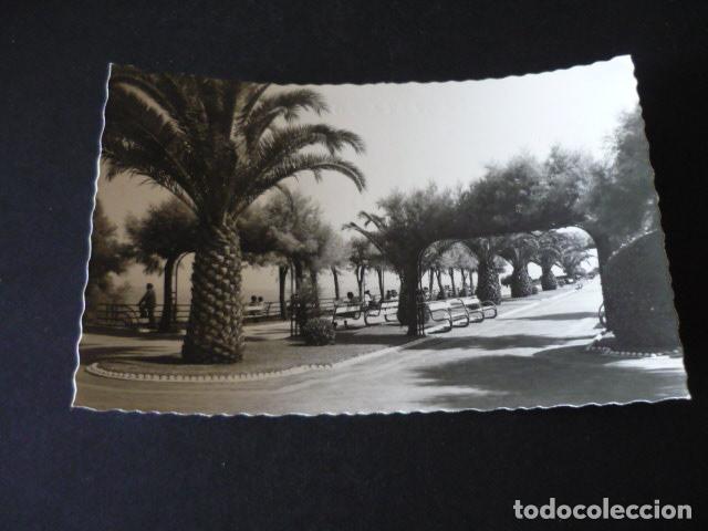 Postales: SANTANDER JARDINES DE PIQUIO - Foto 1