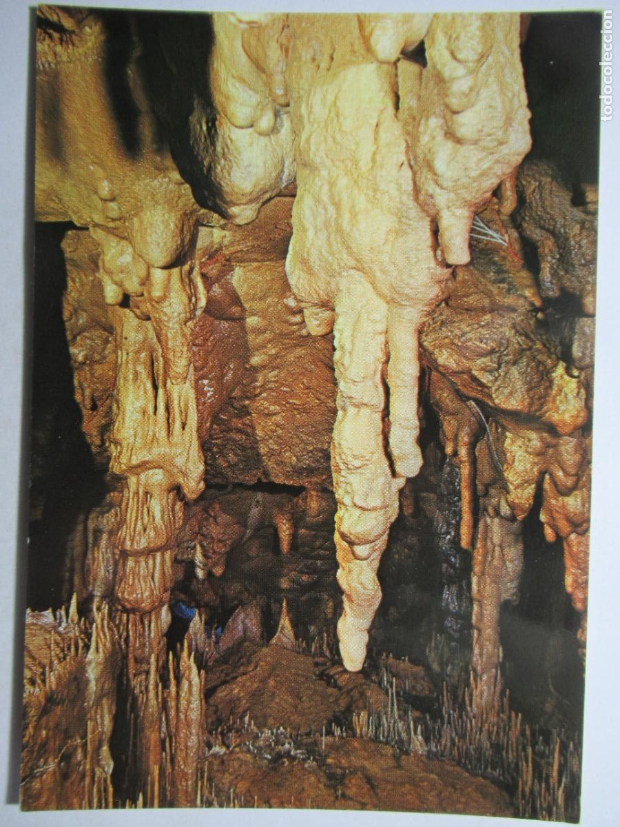 Postales: Cuevas de Altamira - Foto 1