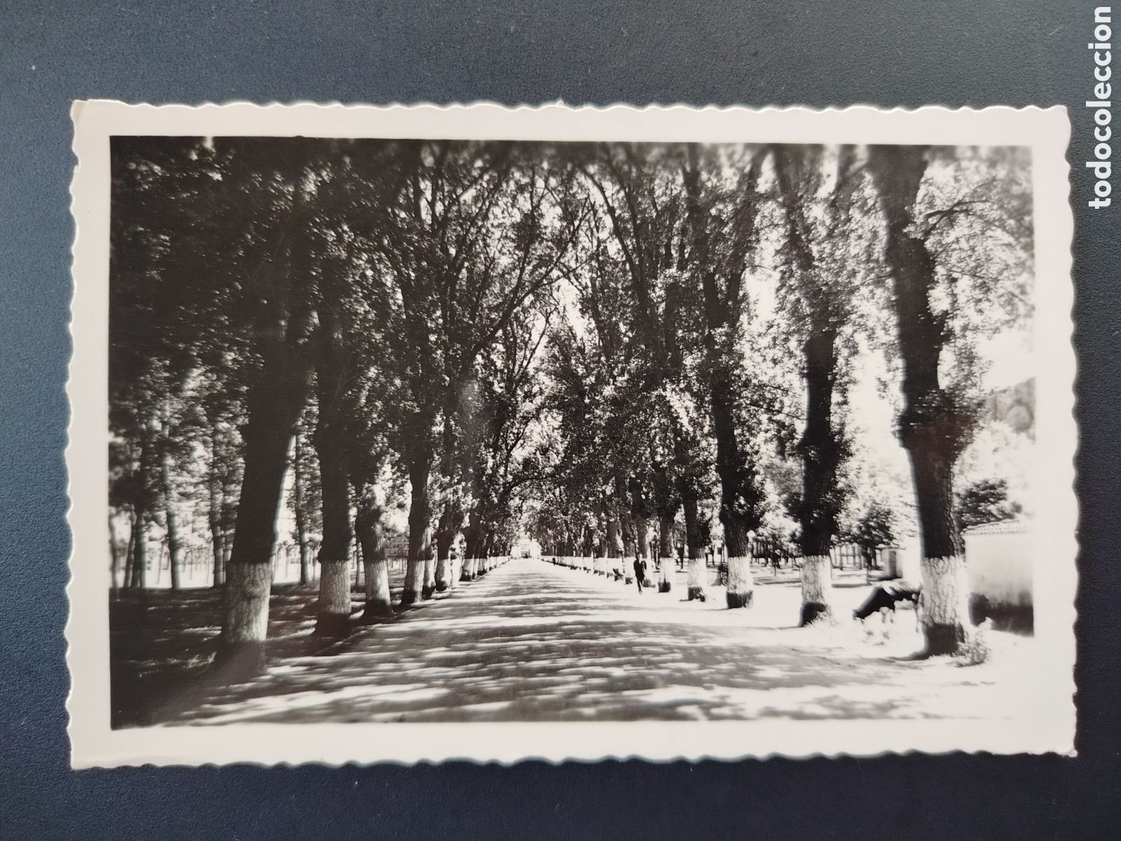 Postales: POSTAL LAREDO (SANTANDER) - Foto 1