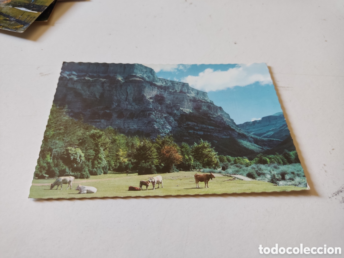 Postales: Postal parque nacional de Ordesa - Foto 1
