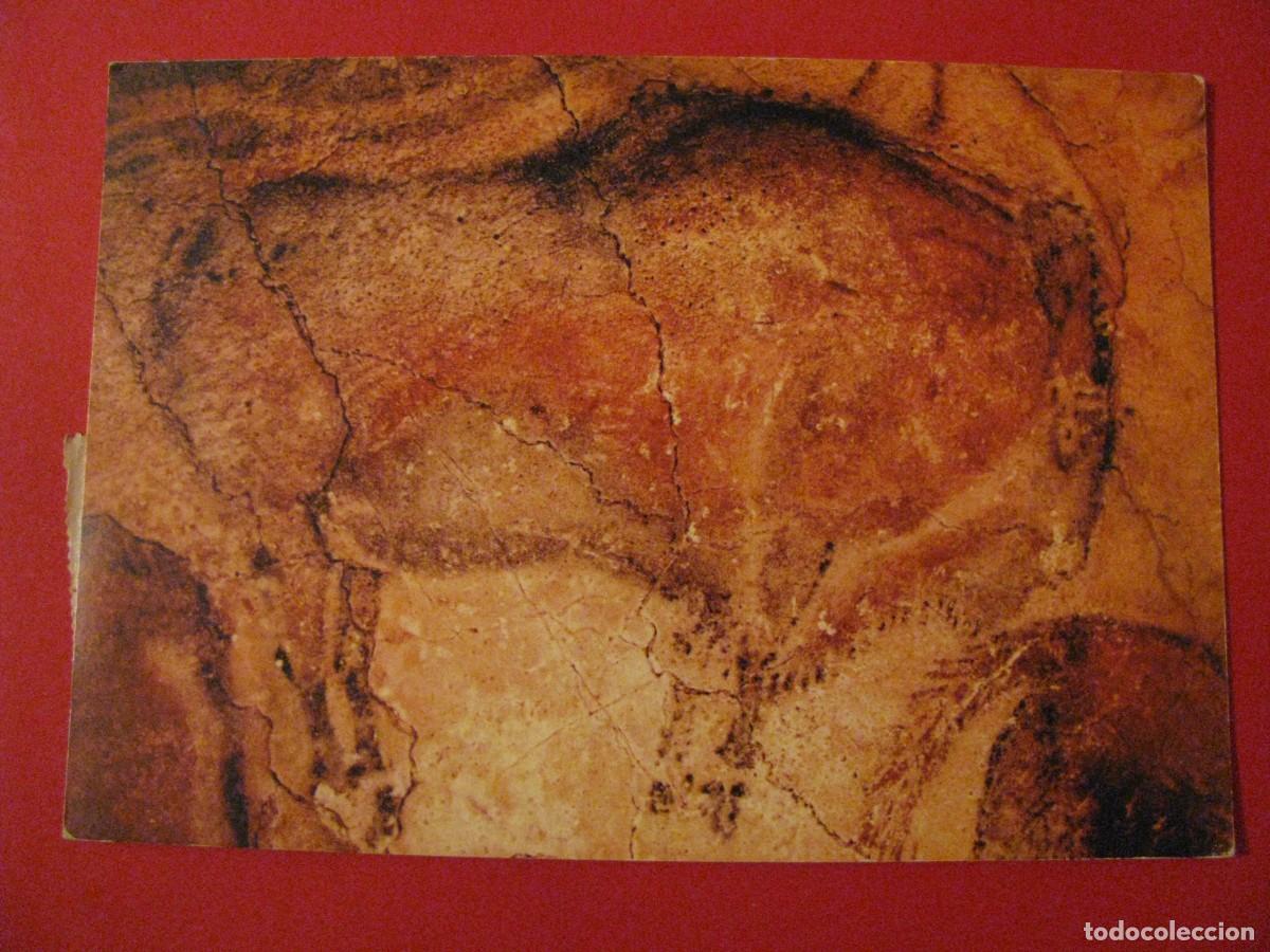 Postales: POSTAL DE CUEVA DE ALTAMIRA. BISONTE. CIRCULADA - Foto 1