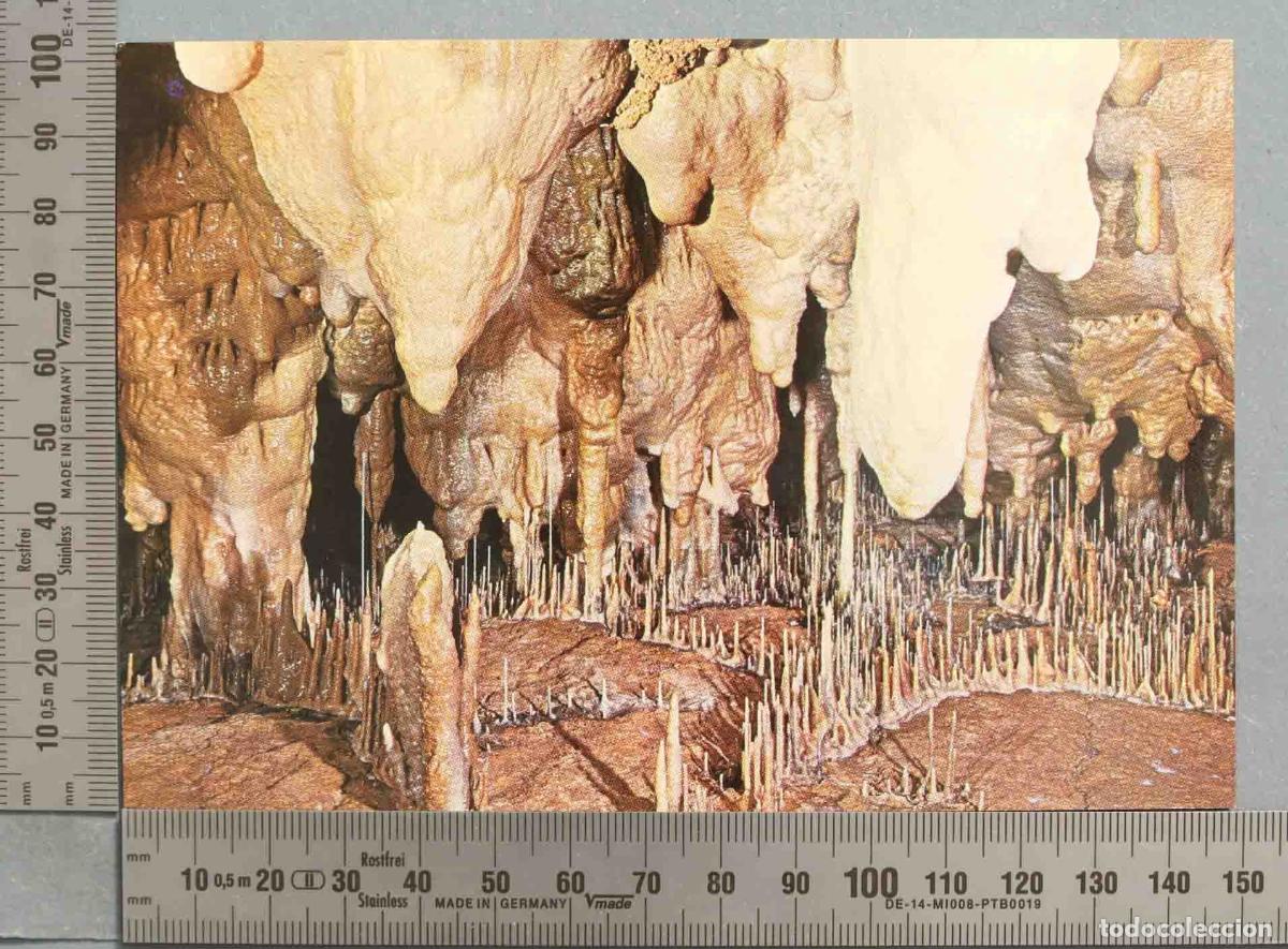 Postales: POSTAL. CUEVAS ALTAMIRA - Foto 1