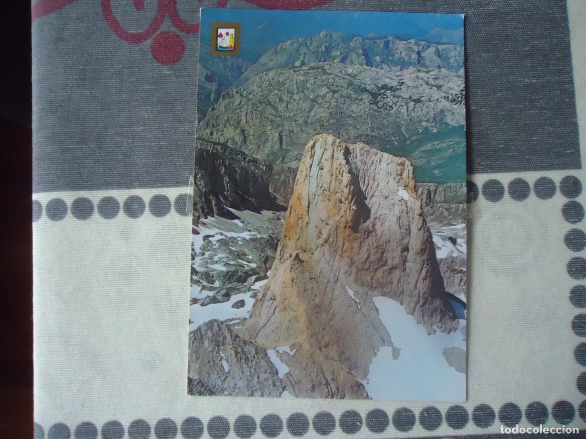 Postales: POSTAL DEL NARANJO DE BULNES - Foto 1