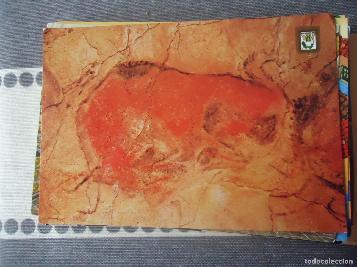 Postales: POSTAL CUEVAS DE ALTAMIRA - Foto 1