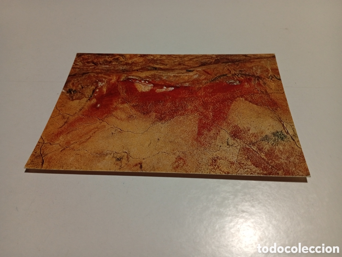 Postales: Postal cuevas de Altamira - Foto 1