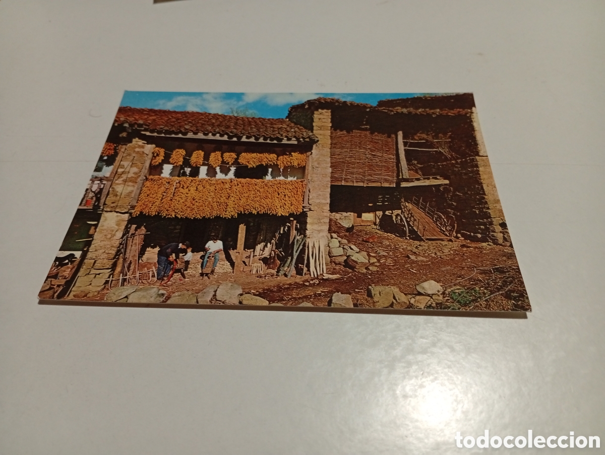 Postales: Postal Saja,secado de maiz - Foto 1