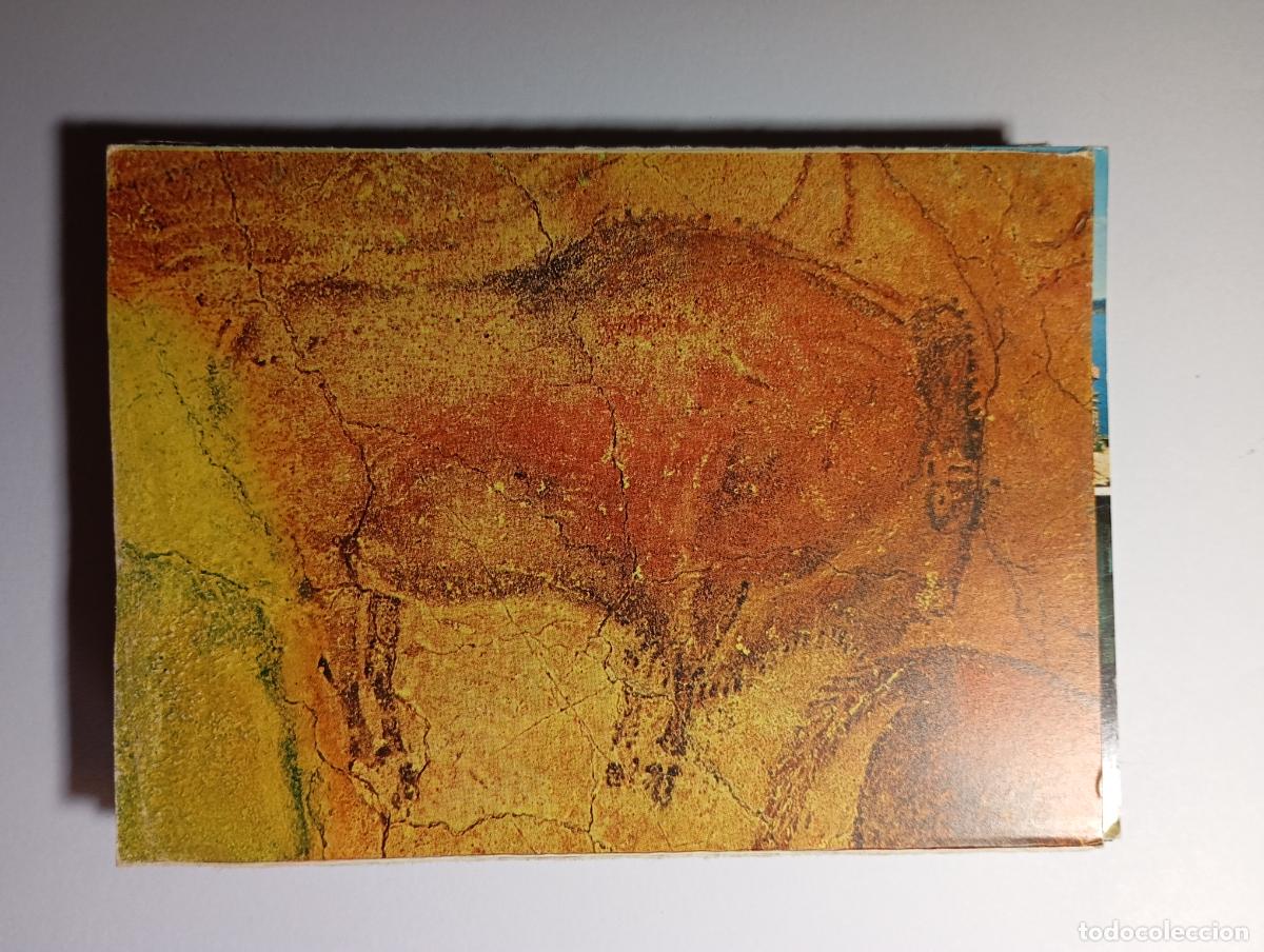 Cartoline: POSTAL DE ALTAMIRA. CUEVAS. BISONTE. TDKP26C