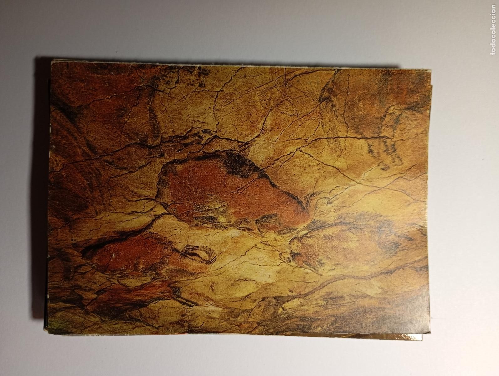 Cartoline: POSTAL DE ALTAMIRA. CUEVAS. CONJUNTO DE PINTURAS. TDKP26C