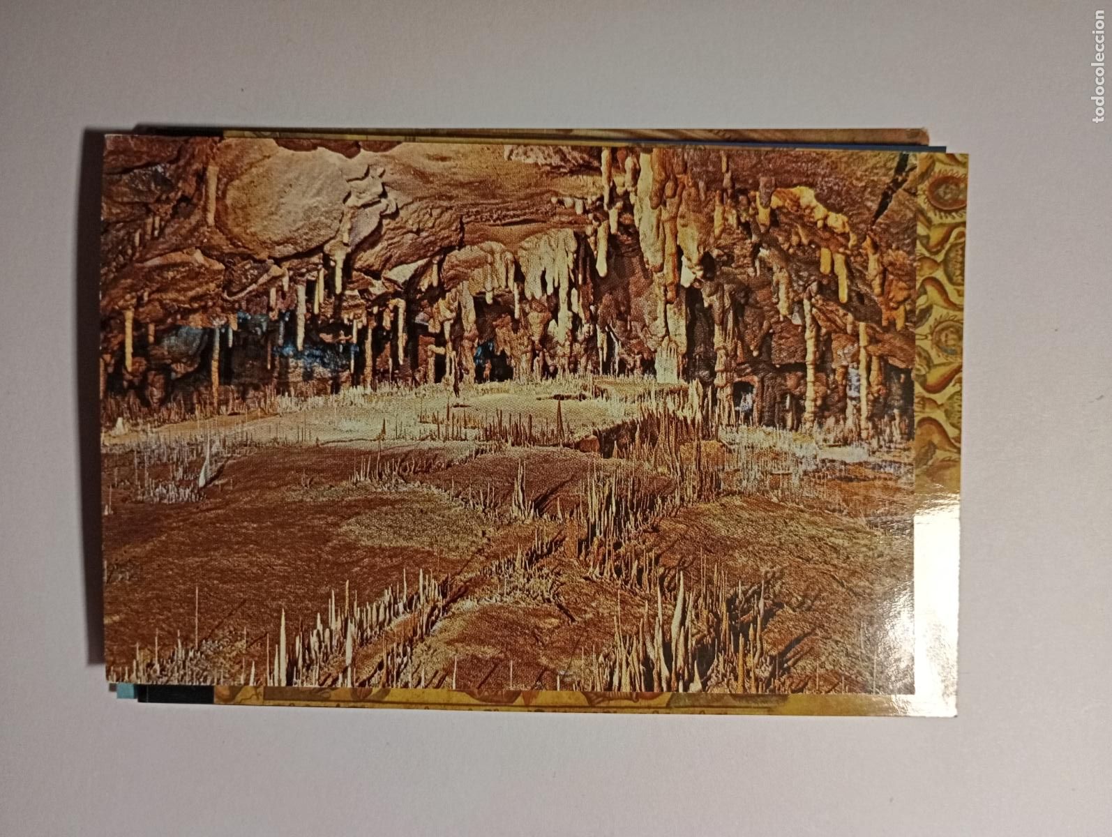 Cartoline: POSTAL DE CUEVAS DE ALTAMIRA. CANTABRIA. TDKP26C