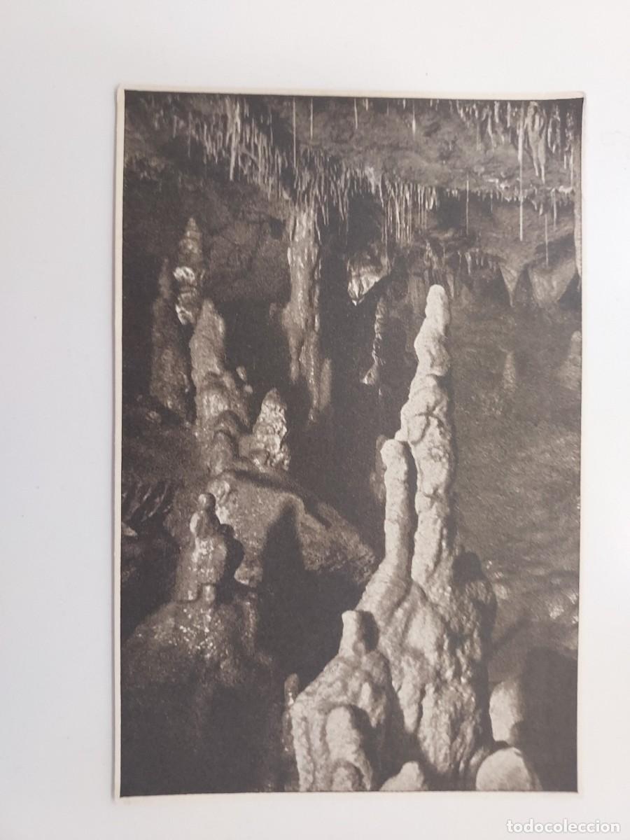 Postales: POSTAL CUEVAS DE ALTAMIRA VISTA SEGUNDA CUEVA. SIN CIRCULAR. 1939-1940. ALDUS 6. CANTABRIA