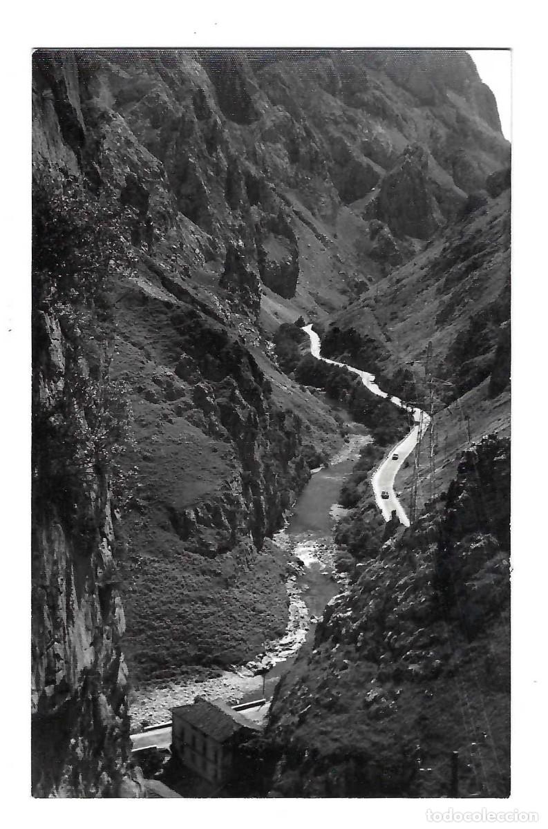 Postales: POSTAL- REGI&Oacute;N DE LI&Eacute;BANA Y LOS PICOS DE EUROPA. POTES. SANTANDER. FOTO BUSTAMANTE. SIN CIRCULAR