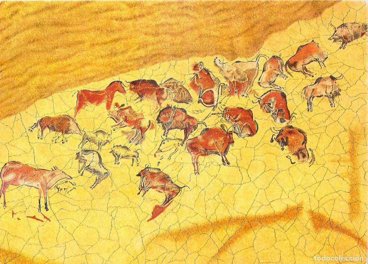 Postales: Postal de las Cuevas de Altamira, Santander - Pinturas de la B&oacute;veda