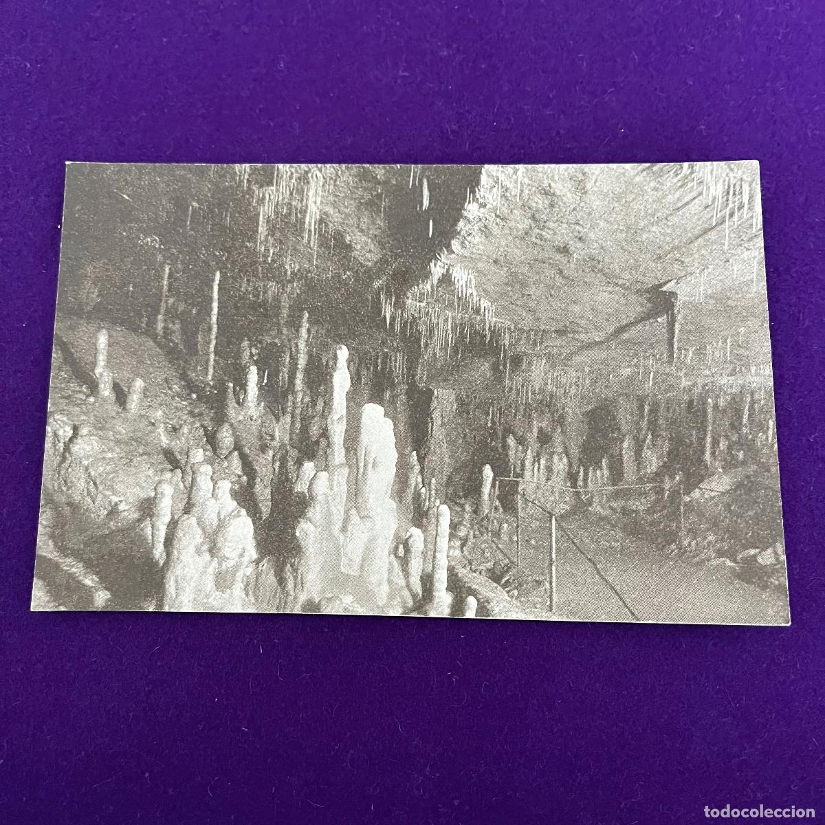 Postais: POSTAL DE CUEVAS DE ALTAMIRA (CANTABRIA). N&ordm;3 VISTA DE LA SEGUNDA CUEVA.
