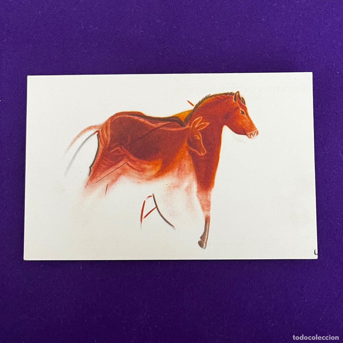 Postais: POSTAL DE CUEVAS DE ALTAMIRA (CANTABRIA). CABALLO SOBRE CIERVA.
