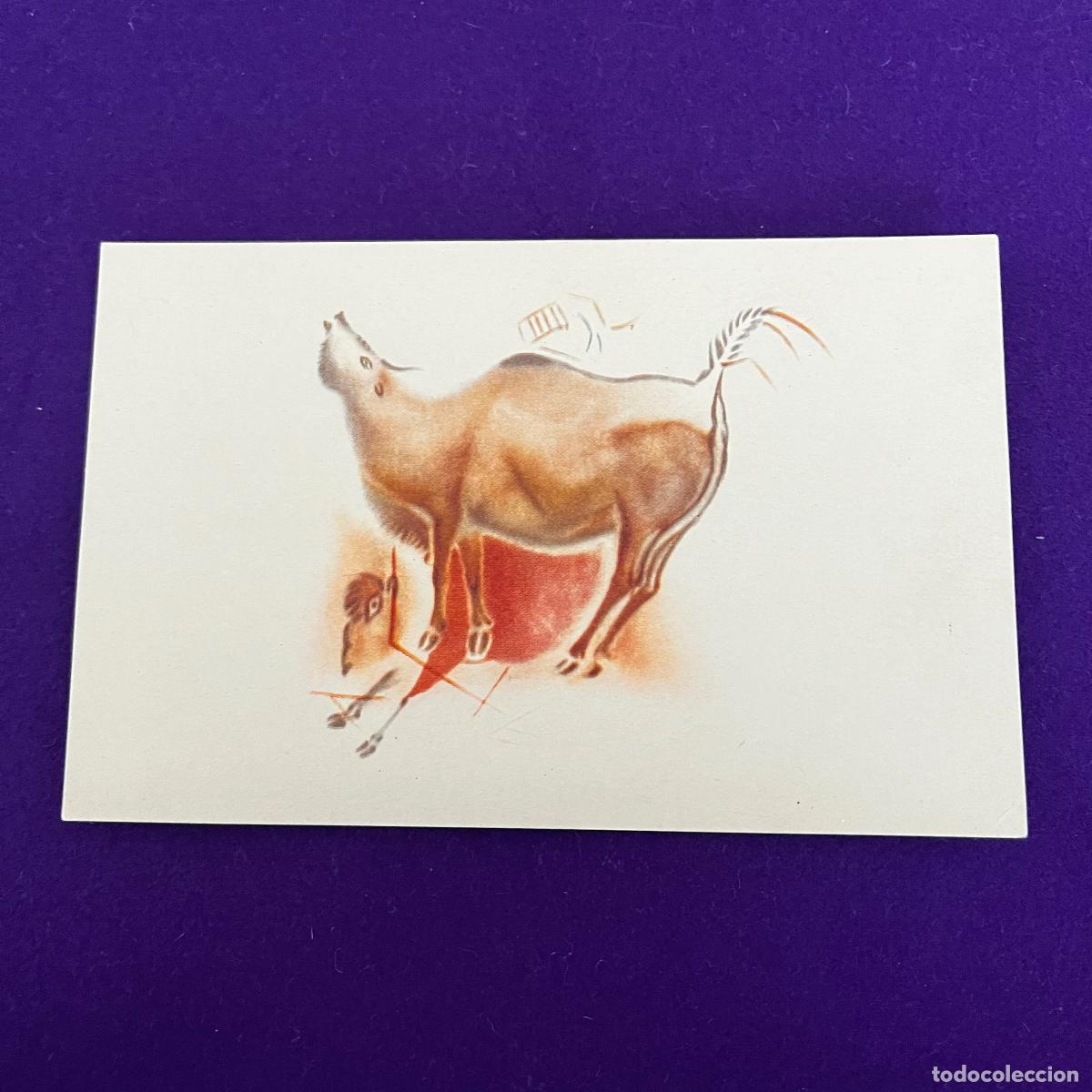 Cartes Postales: POSTAL DE CUEVAS DE ALTAMIRA (CANTABRIA). BISONTES GALOPANDO Y MUGIENDO.