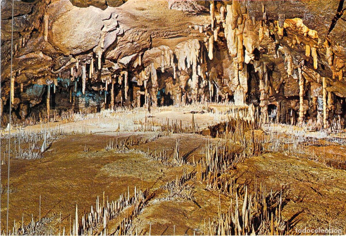 Postales: Postal Cuevas de Altamira, Estalactitas y Estalagmitas en Cantabria