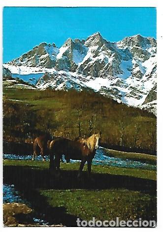 Postales: PICOS DE EUROPA.- EL JISO - PRAO CORTES