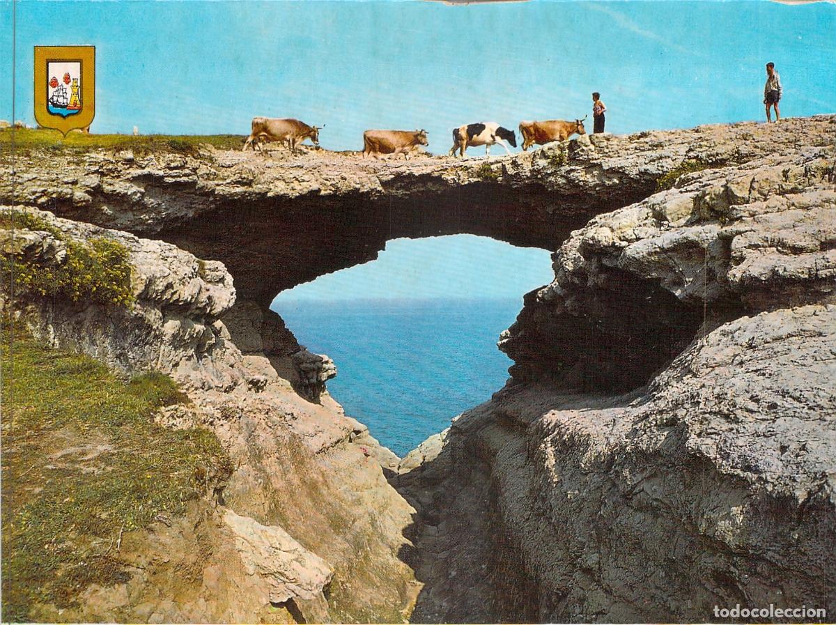 Postales: Postal de Santander Puente del Diablo con Vacas Cantabria