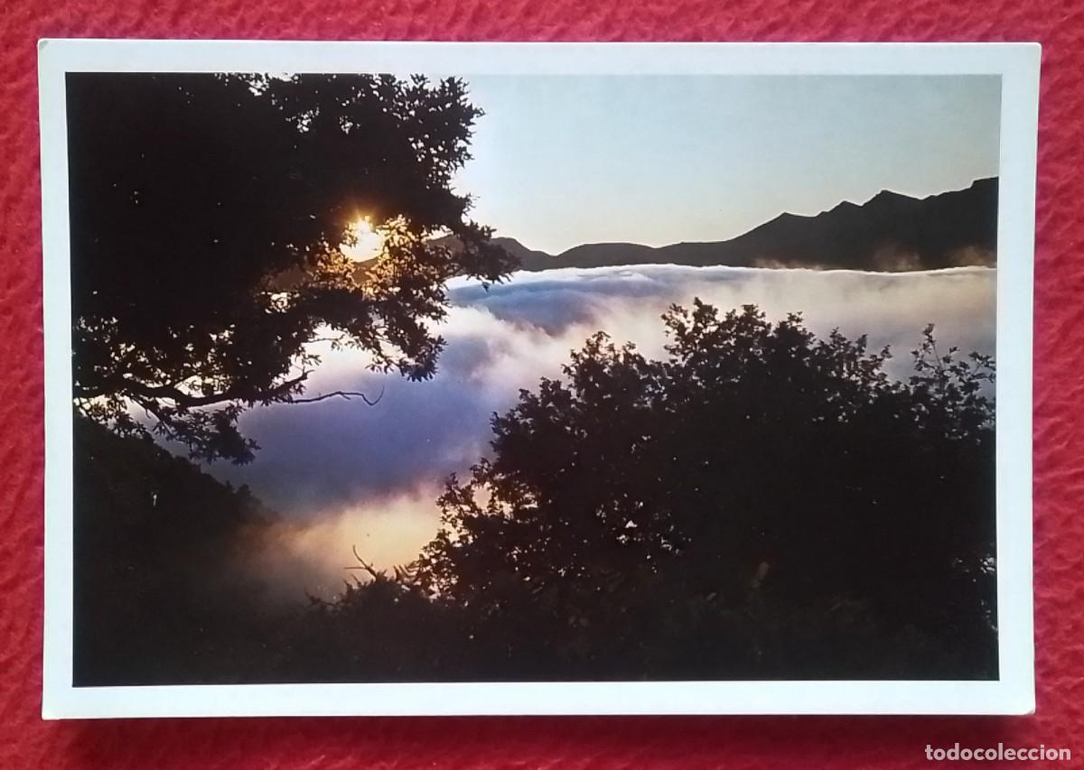 Postales: POSTAL POST CARD PICOS DE EUROPA AMANECER EN LA CALLADA DEL SALCE, SPAIN ESPAGNE CARTE POSTALE...