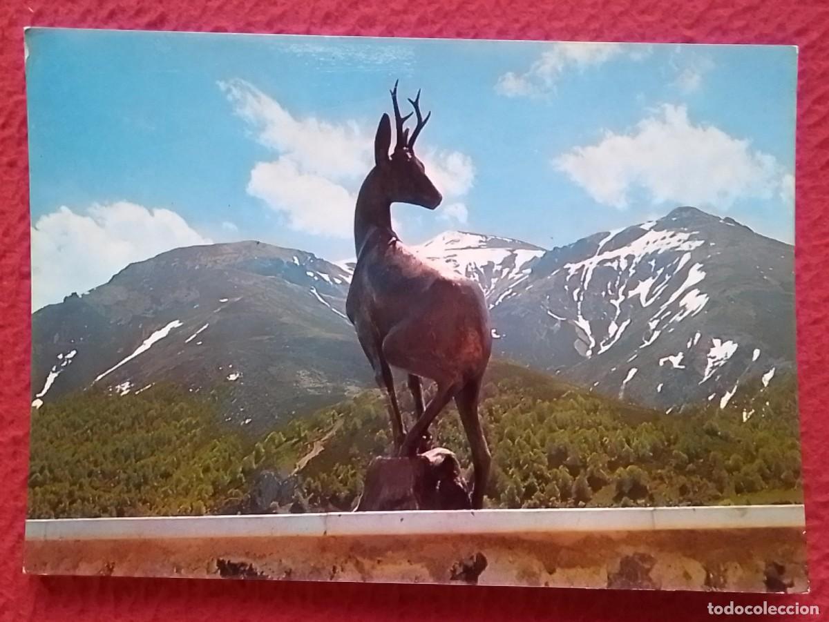 Postales: POSTAL POST CARD PICOS DE EUROPA PUERTO DE SAN GLORIO AL FONDO MACIZO DE PE&Ntilde;A PRIETA..SPAIN CORZO ?