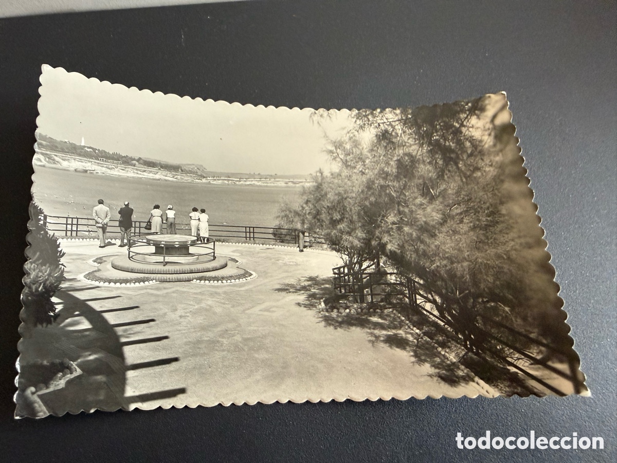 Postales: Postal. SANTANDER. Jardines de Piquio