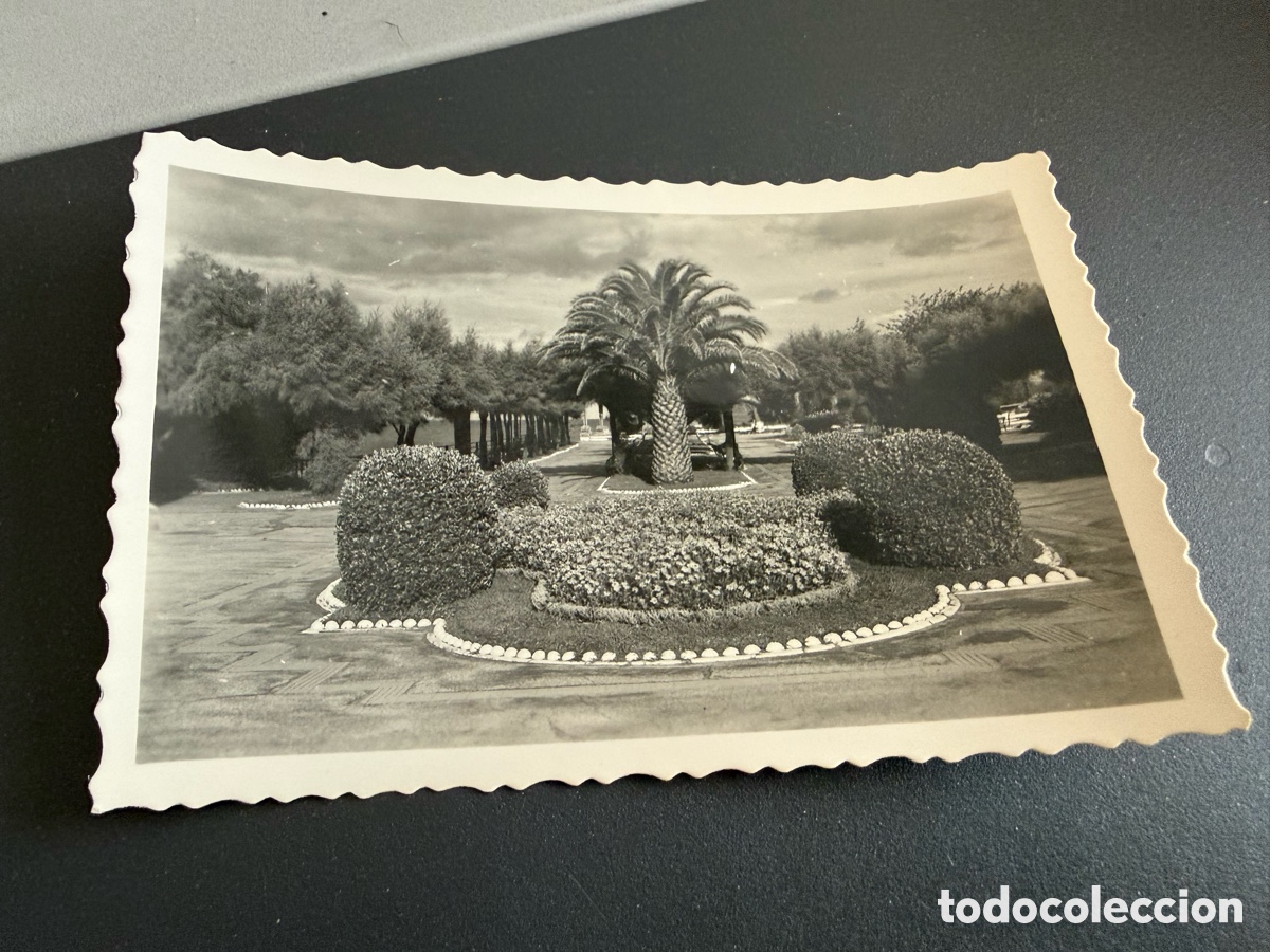 Postales: Postal Santander. Jardines de Piquio. Ed Arribas