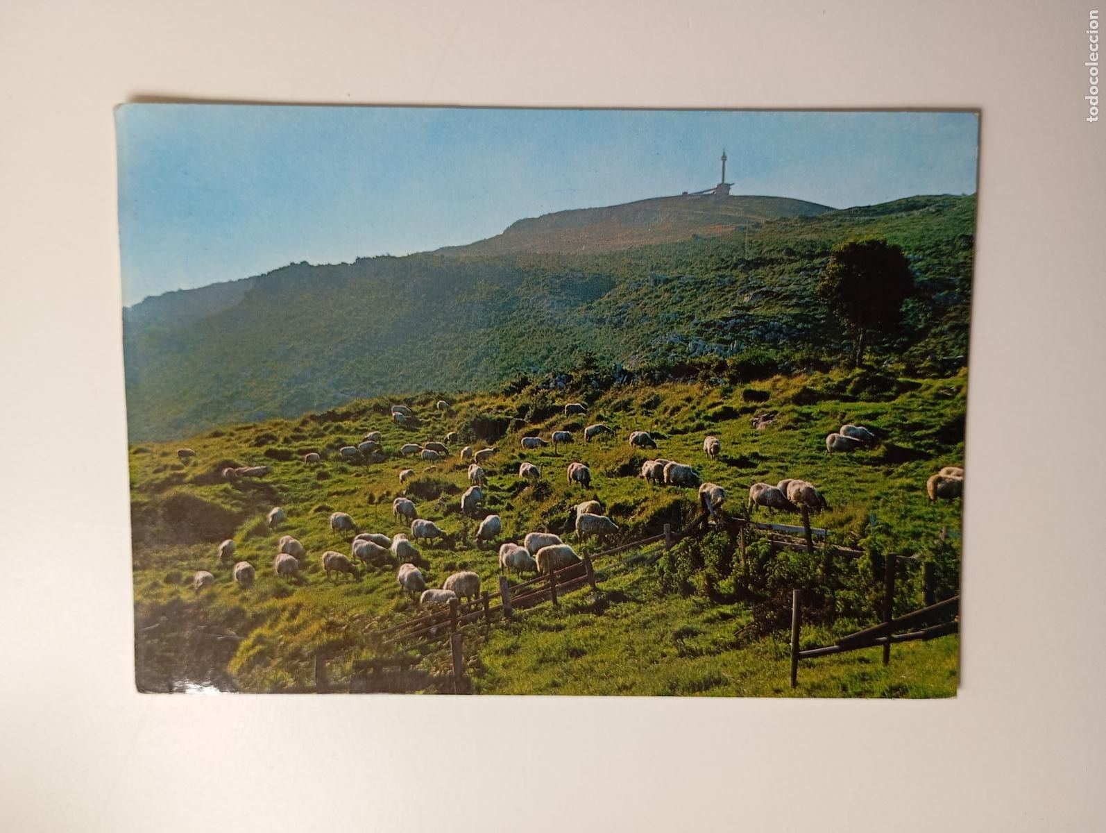 Postales: POSTAL DE SANTANDER. PE&Ntilde;A CABARGA. TDKP29M