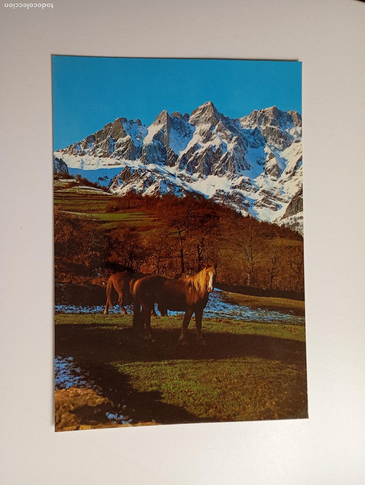 Postales: POSTAL DE PICOS DE EUROPA. EL JISO. TDKP29M