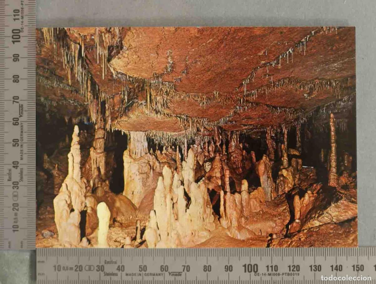Postales: POSTAL. Cueva de Altamira - Santillana del Mar - Santander - Bustamante