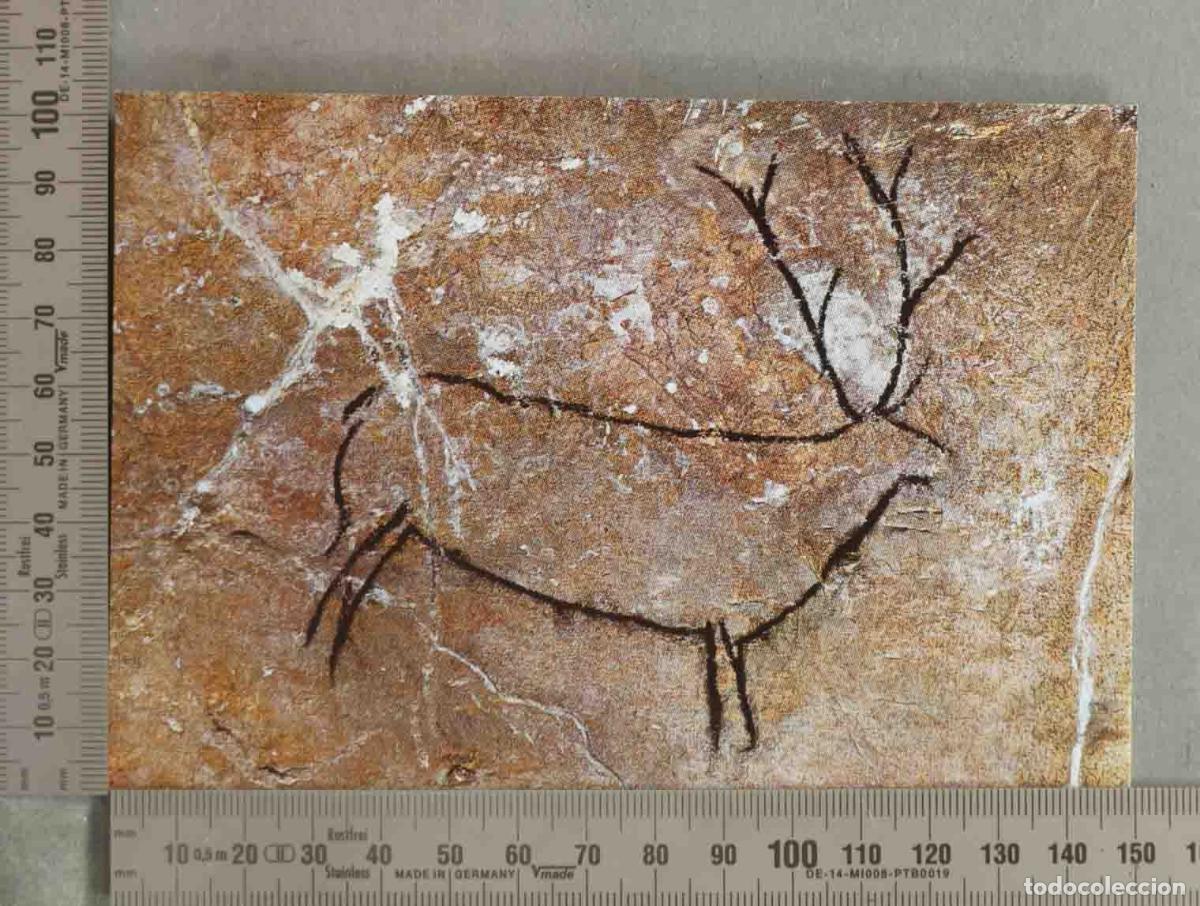 Postales: POSTAL. Puente Viesgo - Cuevas Prehist&oacute;ricas - Ciervo - A. Bustamante Hurtado