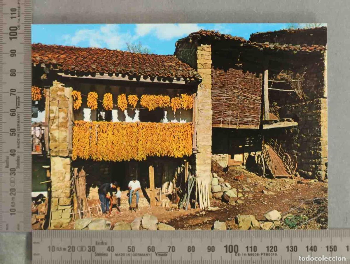 Postales: POSTAL. Saja (Santander) - Secado de ma&iacute;z - A. Bustamante Hurtado