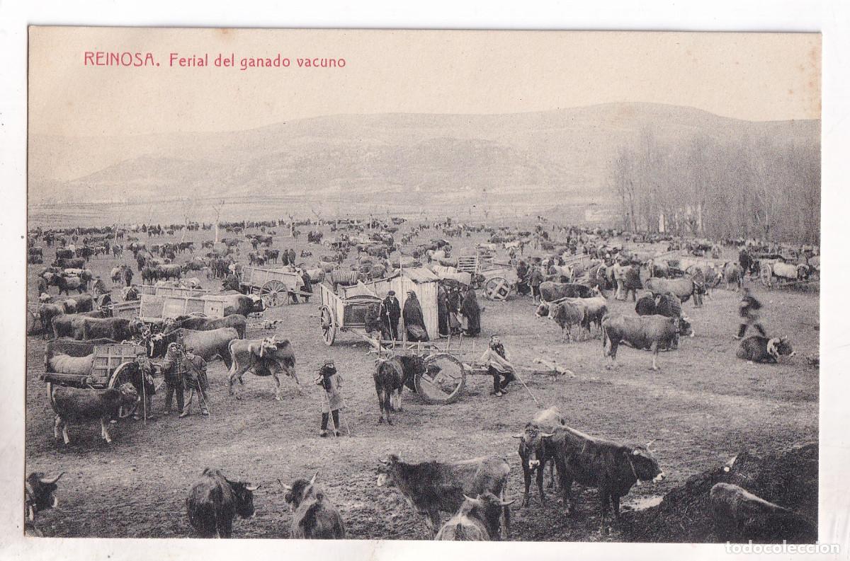 Postales: POSTAL. REINOSA. FERIAL DEL GANADO VACUNO. CANTABRIA