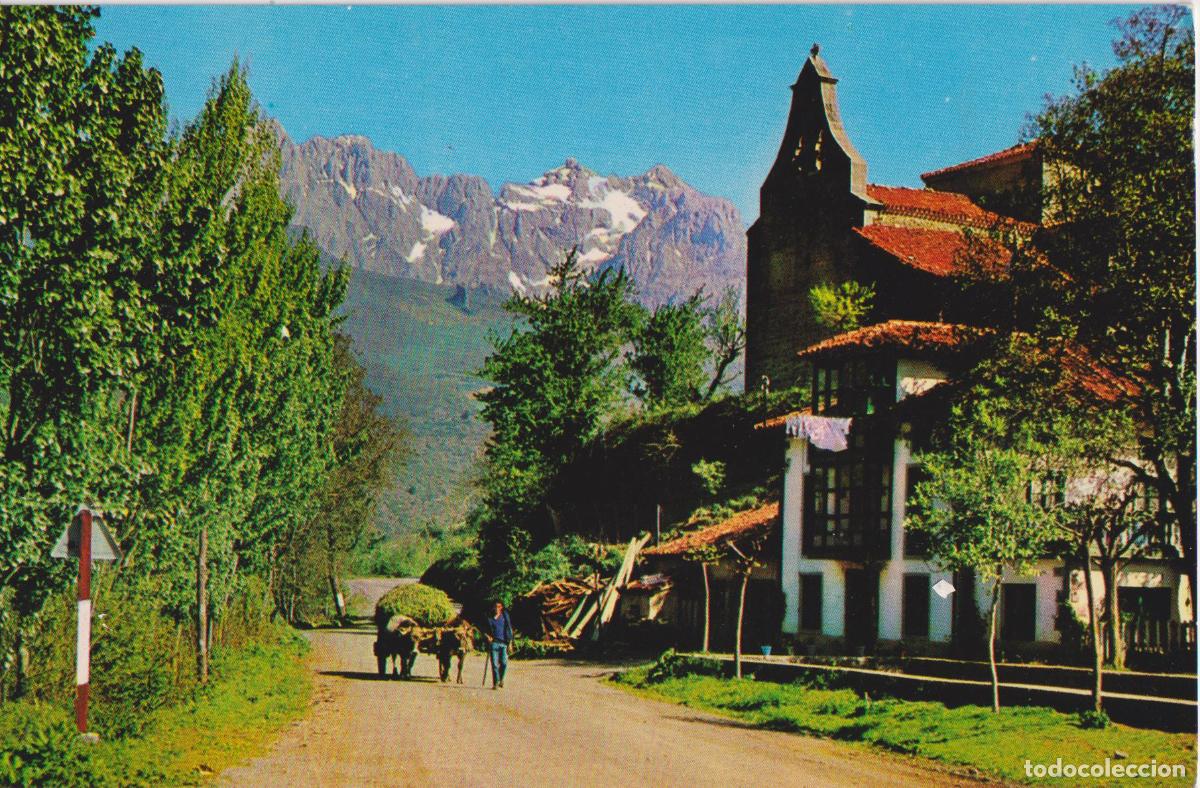 Postales: COSGAYA (SANTANDER) PICOS DE EUROPA - BUSTAMENTE DE POTES N&ordm;23 - S/C