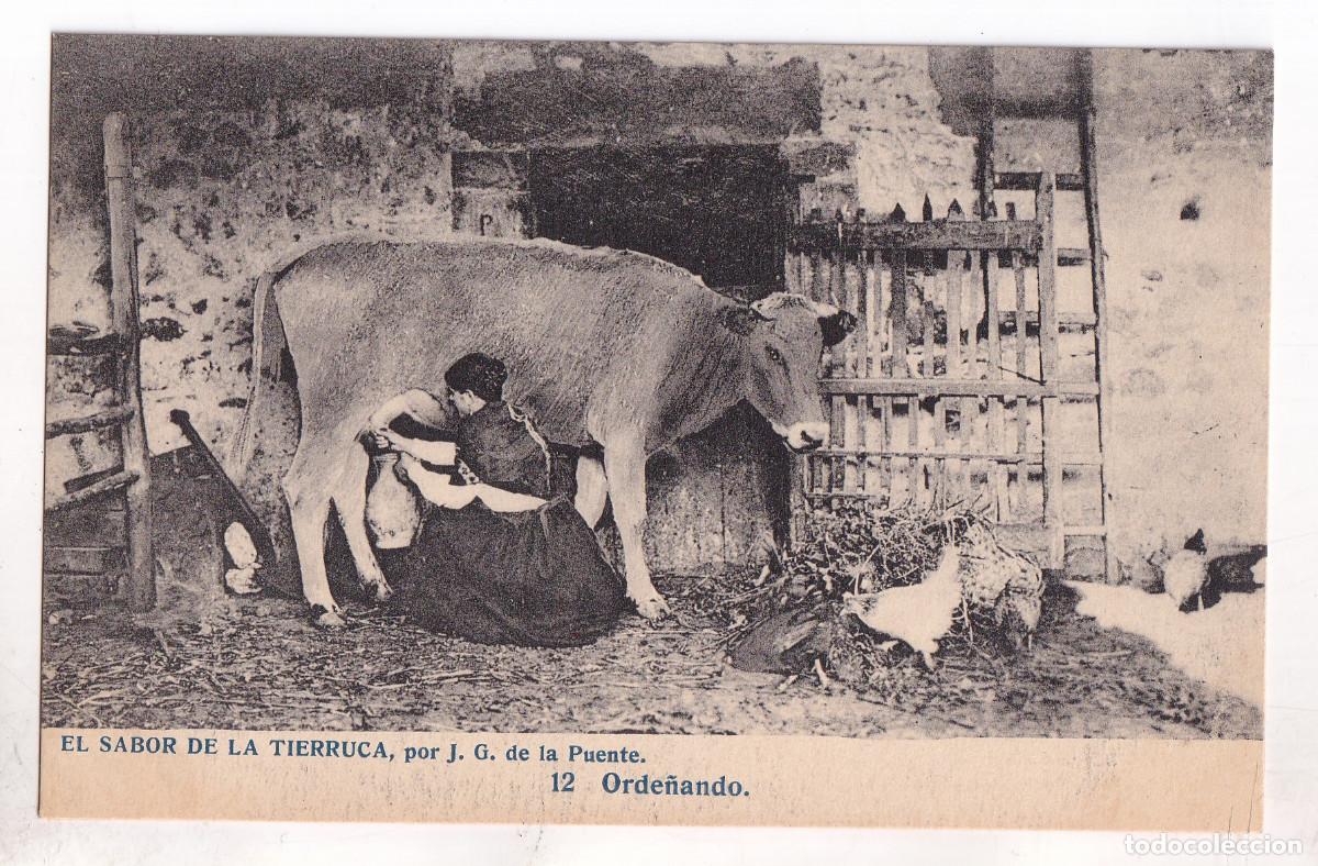 Postales: POSTAL. EL SABOR DE LA TIERRUCA. 12. ORDE&Ntilde;ANDO. CANTABRIA. POR J. G. DE LA PUENTE