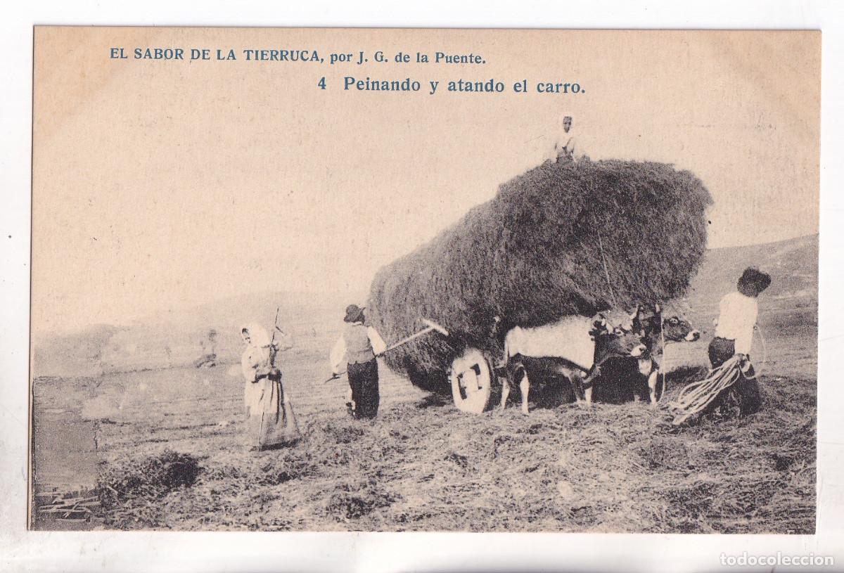 Postales: POSTAL. EL SABOR DE LA TIERRUCA. 4. PEINANDO Y ATANDO EN CARRO. CANTABRIA. POR J. G. DE LA PUENTE