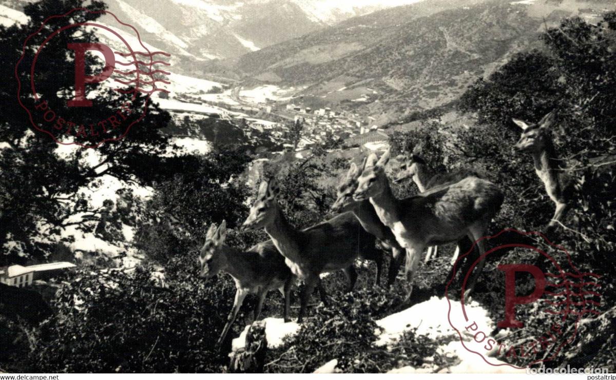 Postales: Regi&oacute;n de Li&eacute;bana y los Picos de Europa CANTABRIA ESPA&Ntilde;A SPAIN
