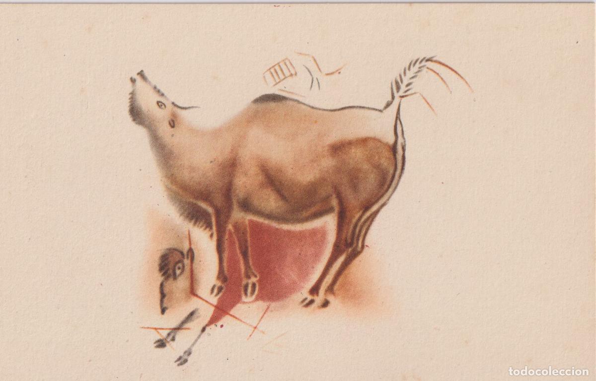 Postales: CUEVA DE ALTAMIRA - SANTILLANA, BISONTE GALOPANDO Y MUGIENDO - SEIX I BARRAL N&ordm;2 - S/C
