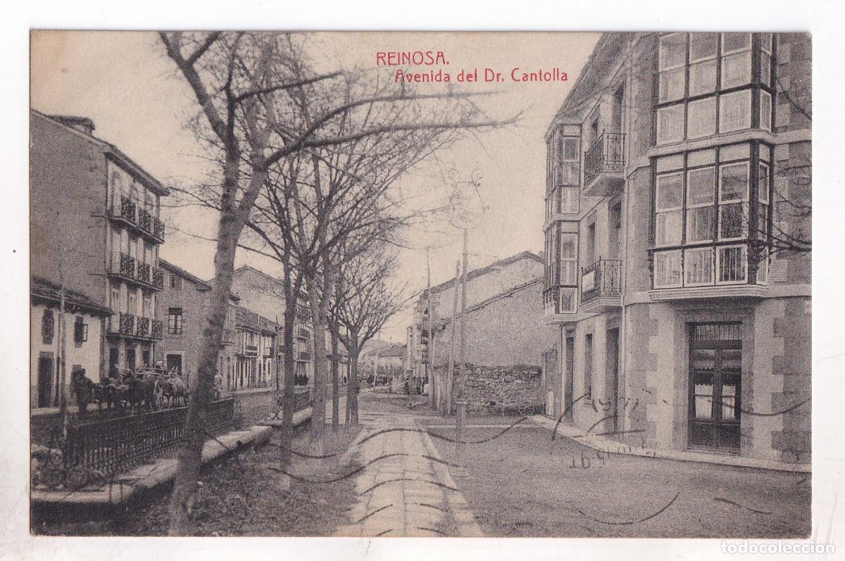 Postales: POSTAL. REINOSA. AVENIDA DEL DR. CANTOLLA. CANTABRIA.