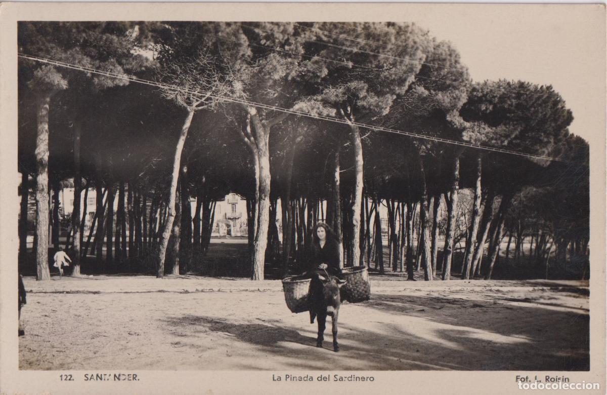 Postales: SANTANDER, LA PINEDA DEL SARDINERO, BURRO - FOTO L.ROISIN 122 - S/C