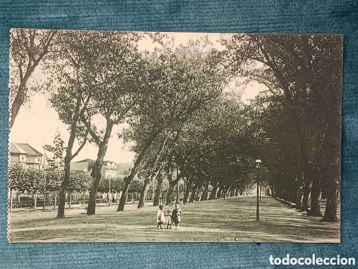 Postales: SANTANDER. Alameda de Oviedo